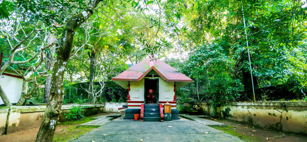 Devi Bhagavati